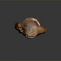 Head Character Portrait Head Various Heads Various Heads Head Carving Head Carving Portrait Face Carving 3d model