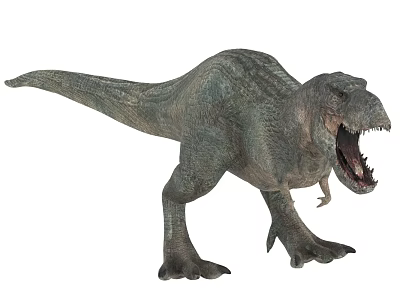 Realistic 3D Tyrannosaurus Rex Dinosaur Model Standing With Open Mouth 3d model