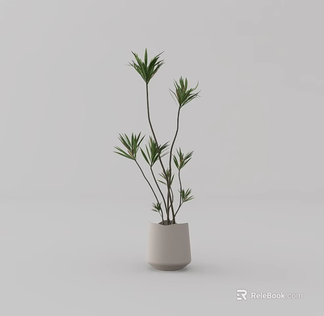 Bonsai Potted Plant With Green Leaves And Slender Stems In White Pot 3d model 