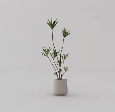 Bonsai Potted Plant With Green Leaves And Slender Stems In White Pot 3d model