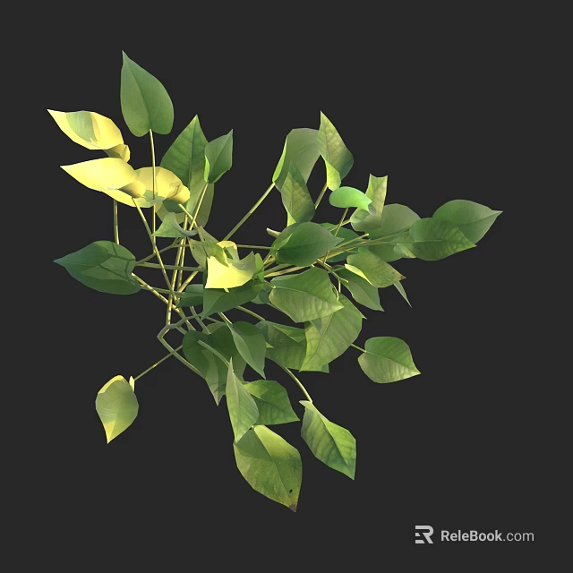 Fresh Indoor Plant in Decorative Vase with Lush Green Leaves on Black Background 3d model 