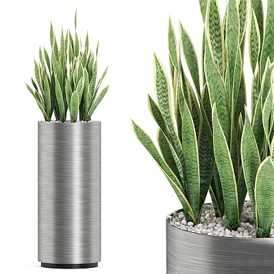 Potted Bonsai Plants With Green Striped Leaves In Silver Cylindrical Pot And White Pebbles 3d model