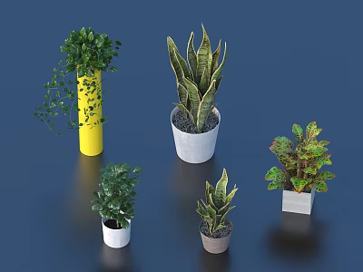 Various Potted Green Plants With Decorative Pots In Different Colors And Shapes 3d model