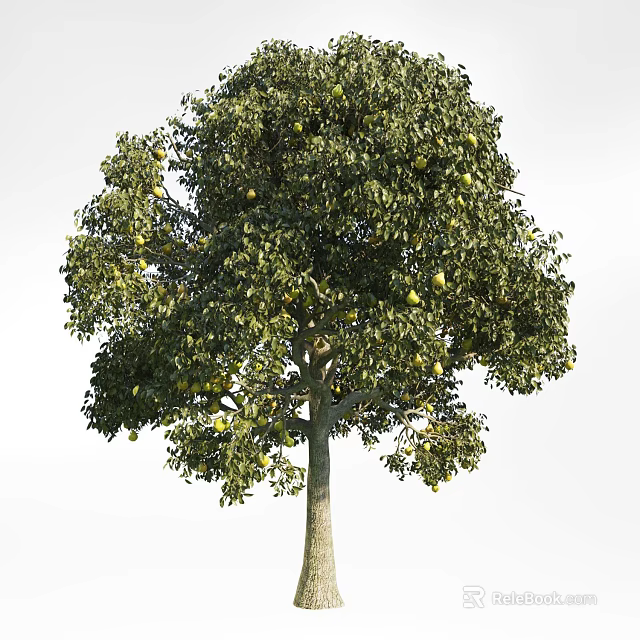 Abundant Fruit Bearing Arbor With Lush Green Leaves And Strong Trunk 3d model 