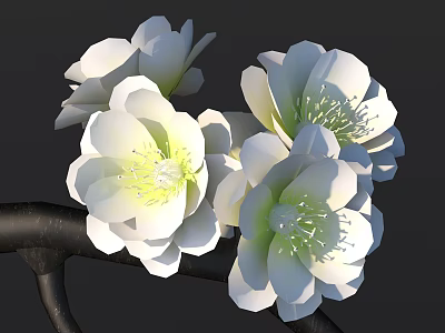 Beautiful White Flowers With Green Stamens On Black Branches Dark Background 3d model