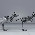 anatomy chicken bird eagle musculoskeletal skeleton visceral heart capillary 3d model