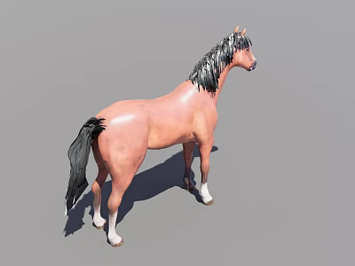 Light Brown Horse With Black Mane Tail And White Hooves Standing Against Gray Background 3d model