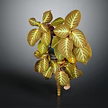 Lush Potted Plant With Broad Brownish Yellow Leaves And White Veins