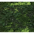 Lush Green Living Wall With Diverse Plants And Natural Foliage Design