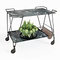Two Tier Marble Top Trolley With Metal Frame Wheels And Green Plant