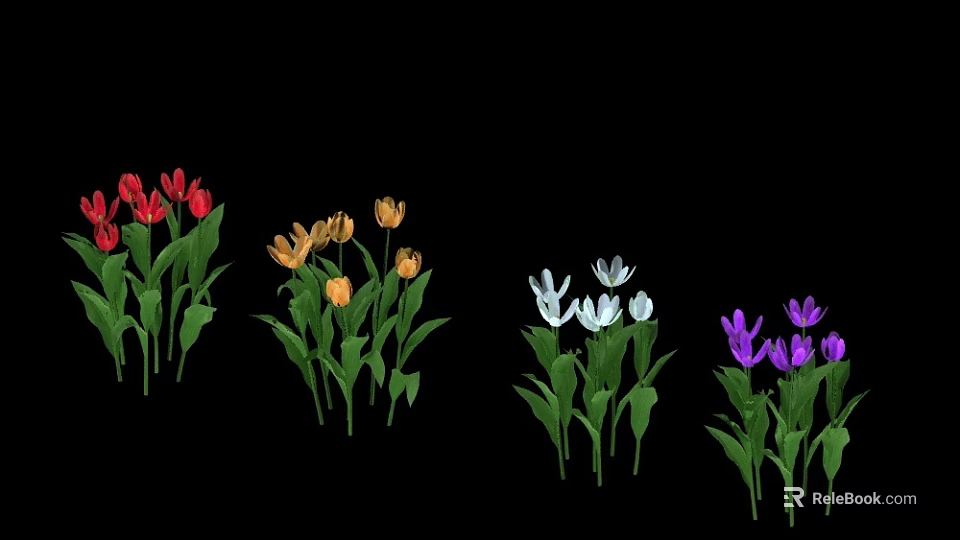 Colorful Tulips in Red Yellow White Purple with Green Leaves on Black Background 3d model 