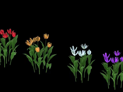 Colorful Tulips in Red Yellow White Purple with Green Leaves on Black Background 3d model