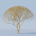 Yellow Tree with Twisted Branches and Umbrella Shaped Canopy against Gray and Blue Gradient Background