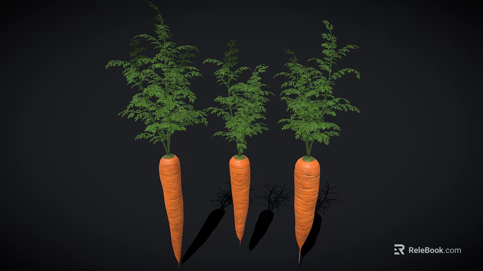 Three Fresh Raw Carrots With Green Leafy Tops On Black Background 3d model 