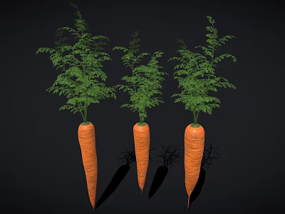 Three Fresh Raw Carrots With Green Leafy Tops On Black Background 3d model