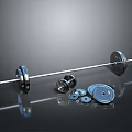 Barbell With Multiple Weight Plates Arranged On Reflective Surface For Fitness