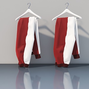 Clothing collocation 3d model