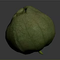 Fresh Green Fruit With Cracked Surface And Hollow Light Green Interior