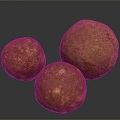 Stone Rock Stone Stone Appreciation Stone Strange Stone Ore Realistic 3d model