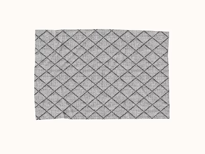 Modern minimalist carpet 3d model