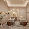 SPA 3d model