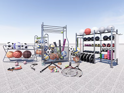 Sports Equipment Collection With Various Balls Racks And Training Tools 3d model