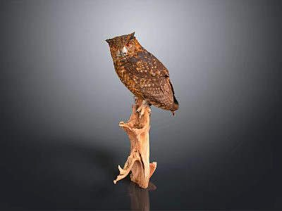 Brown Owl Perched on Natural Wood Branch Against Dark Background 3d model