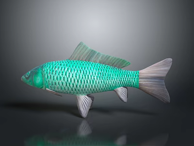 Green Fish With Scales Fins And Gray Tail On Dark Background Showing Reflection 3d model