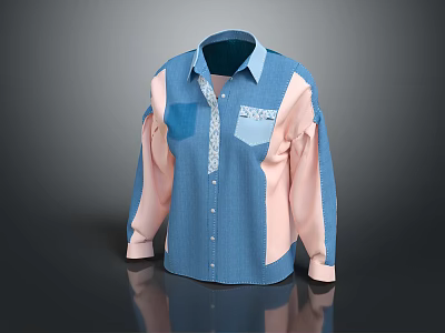 Blue And Pink Color Block Shirt With Collar Pockets And Long Sleeves 3d model
