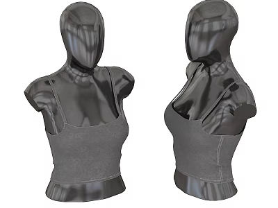 Gray Fitted Crop Top Displayed On Mannequin Front And Side View 3d model Gray Fitted Crop Top Displayed On Mannequin Front And Side View 3d model