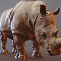 Realistic 3D Rendered Rhinoceros Model With Detailed Texture And Standing Pose
