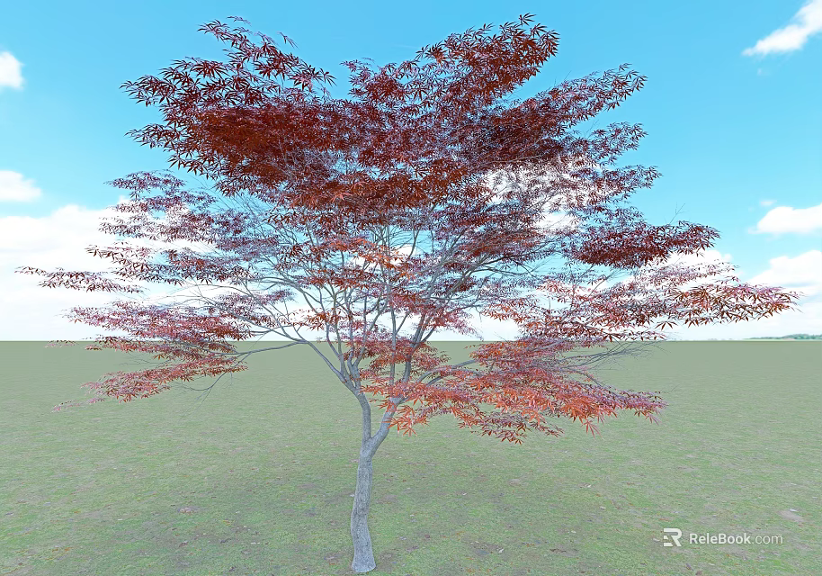 Red Leaf Tree with Lush Foliage Standing in Open Grassland Under Blue Sky 3d model