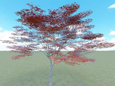 Red Leaf Tree with Lush Foliage Standing in Open Grassland Under Blue Sky 3d model