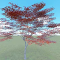 Red Leaf Tree with Lush Foliage Standing in Open Grassland Under Blue Sky 3d model