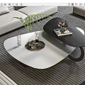 Modern Black And White Coffee Table With Tray Decorative Sculpture And Potted Plant Near Sofa
