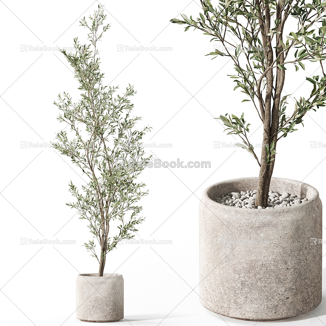 potted plant 3d model