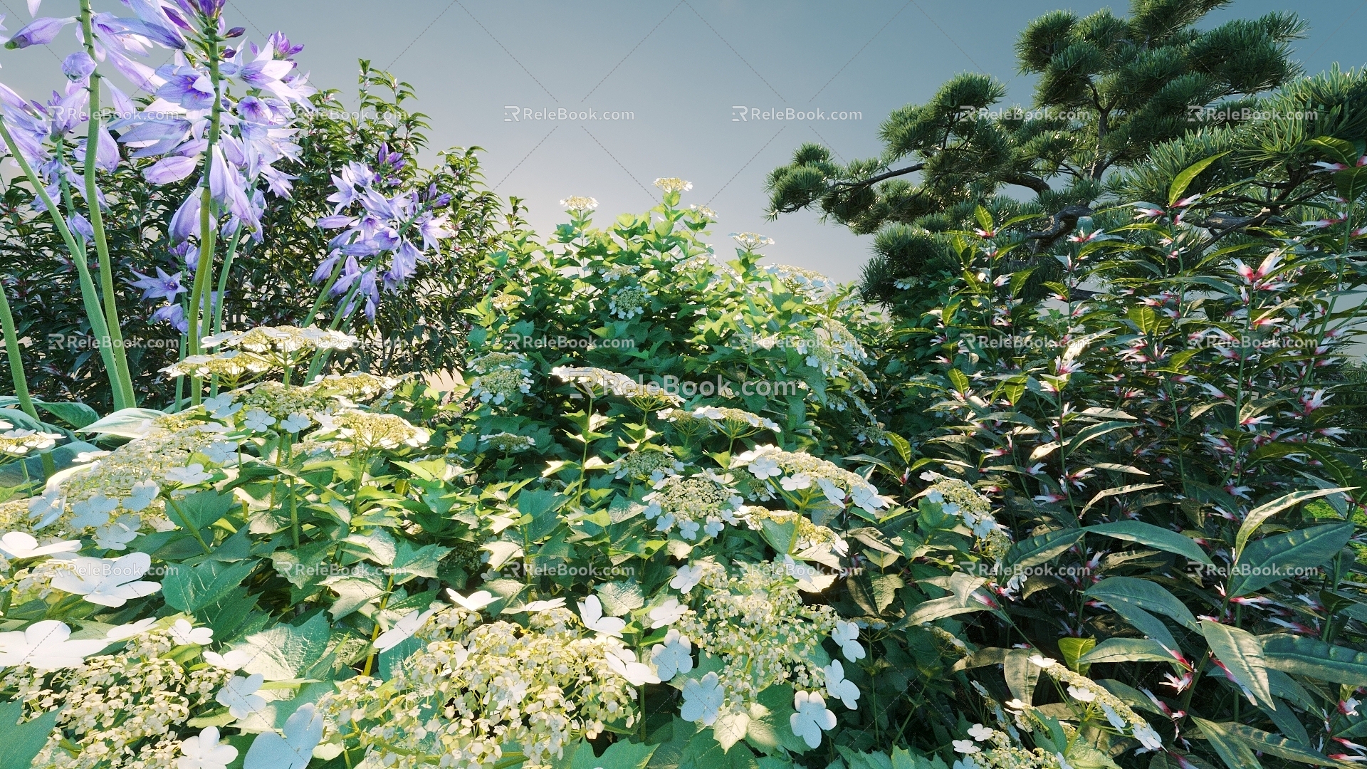 Flowers and plants combination landscape shrubs shrubs plant combination natural landscape flowers 3d model