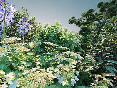 Vibrant Green Shrubs In Sunlit Outdoor Garden With Purple Flowers And Lush Foliage 3d model