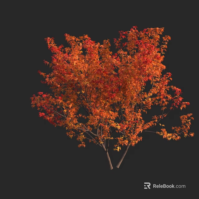 Deciduous Tree with Vibrant Red and Orange Autumn Leaves Isolated on Black Background 3d model 