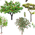 Modern Fruit Trees 3d model