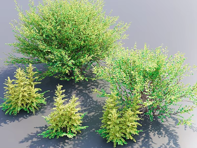 Lush Green Shrubs Of Various Types For Garden Landscape Design 3d model