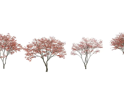 Arbor Trees With Red Leaves In Various Forms Isolated On White Background 3d model