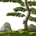 Lush Arbor In Scenic Natural Landscape With Rocks And Surrounding Greenery
