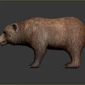 Realistic Brown Bear Model With Detailed Fluffy Fur And Standing Posture 3d model