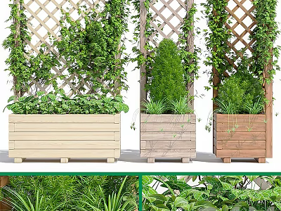 Garden Decor with Wooden Planters Trellis Climbing Vines and Green Plants 3d model