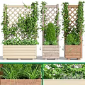 Garden Decor with Wooden Planters Trellis Climbing Vines and Green Plants