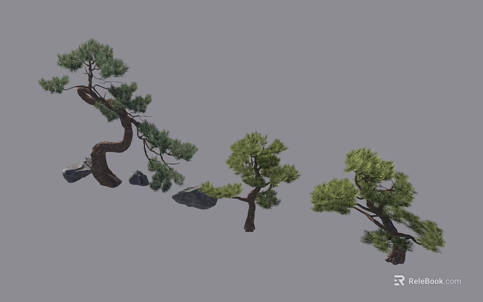 Various Arbor Trees With Curved Trunks Lush Green Foliage And Rocks 3d model 