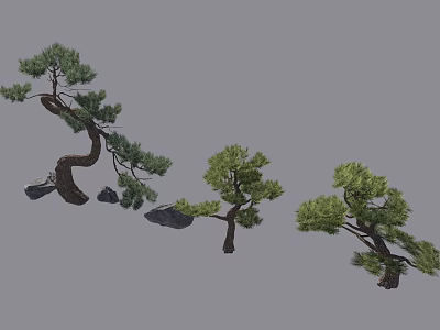 Various Arbor Trees With Curved Trunks Lush Green Foliage And Rocks 3d model