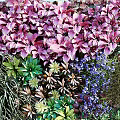 Vibrant Vertical Green Plant Wall Decor With Various Lush Foliage And Trimmed Base