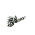 Snow Covered Trees In Different Sizes Arranged Along A White Background 3d model